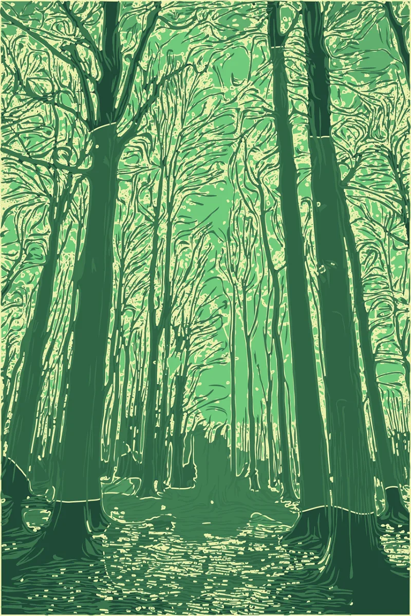 Trees Nature Forest Stickdatei – Natur