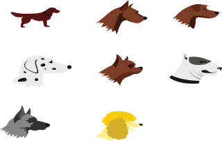Dogs Nature Dog breeds Stickdatei