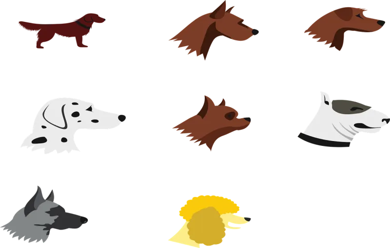 Dogs Nature Dog breeds Stickdatei – Tiere