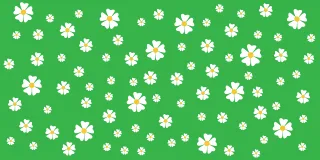 Flower Spring Pattern Stickdatei