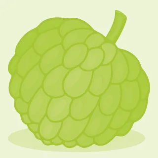 Fruit Custard apple Organic Stickdatei