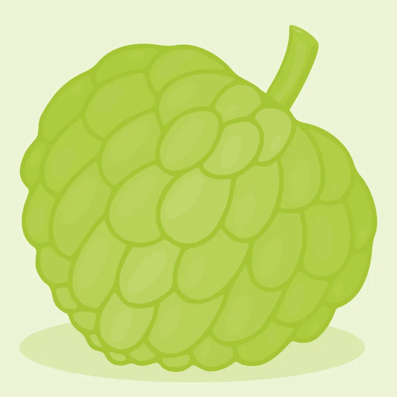Fruit Custard apple Organic Stickdatei – Essen & Trinken
