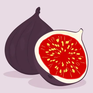 Fig Fruit Food Stickdatei