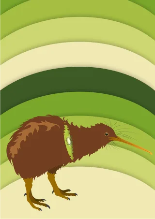 Kiwi Nature Bird Stickdatei – Tiere