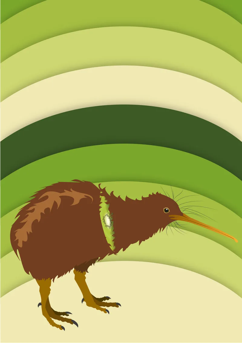 Kiwi Nature Bird Stickdatei – Tiere