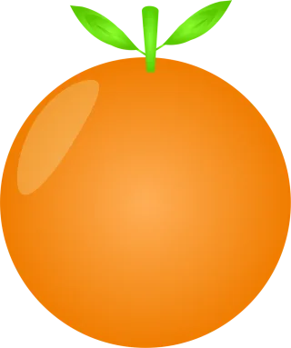 Fruit Orange Healthy Stickdatei