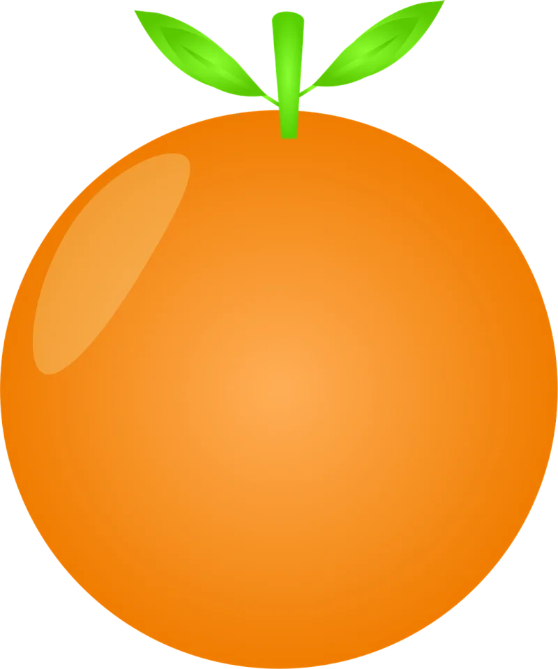 Fruit Orange Healthy Stickdatei – Essen & Trinken