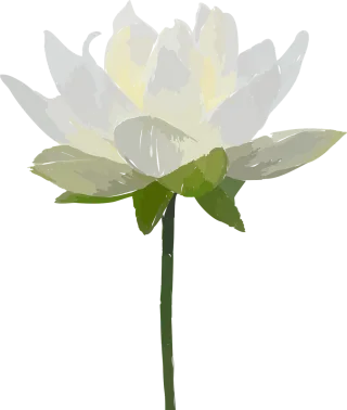 Flower Flower wallpaper Flower background Stickdatei