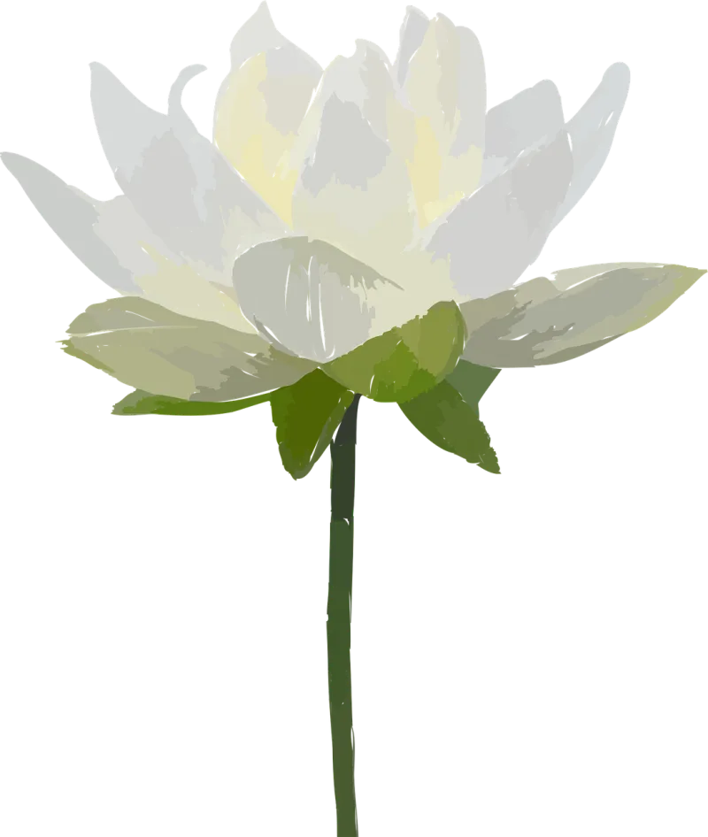 Flower Flower wallpaper Flower background Stickdatei – Blumen
