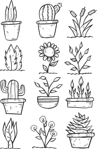 Flower Drawing Cartoon Stickdatei