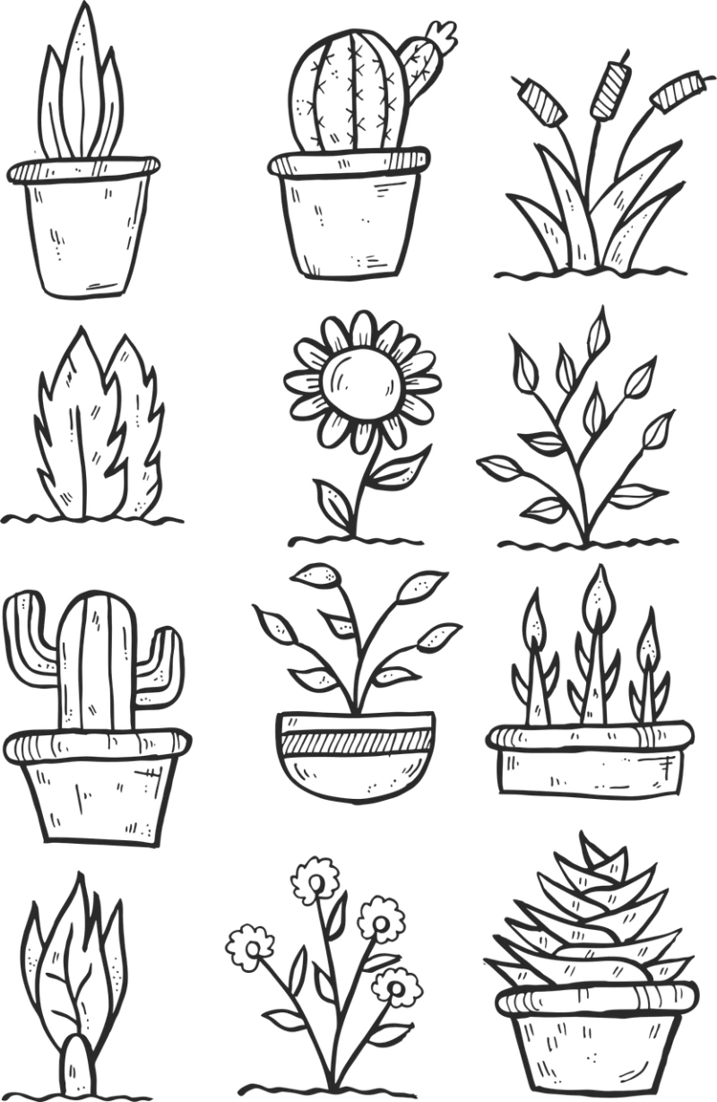 Flower Drawing Cartoon Stickdatei – Natur