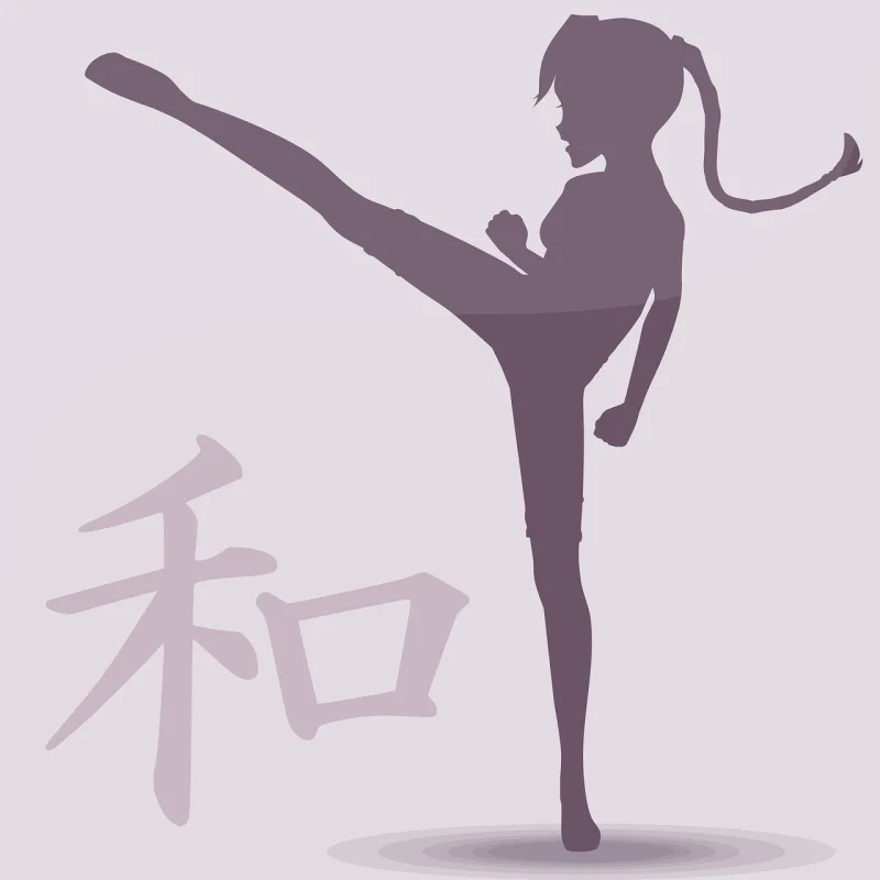 Kick Woman Silhouette Stickdatei – Fahrzeuge
