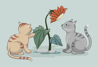 Cats Pets Animals Stickdatei