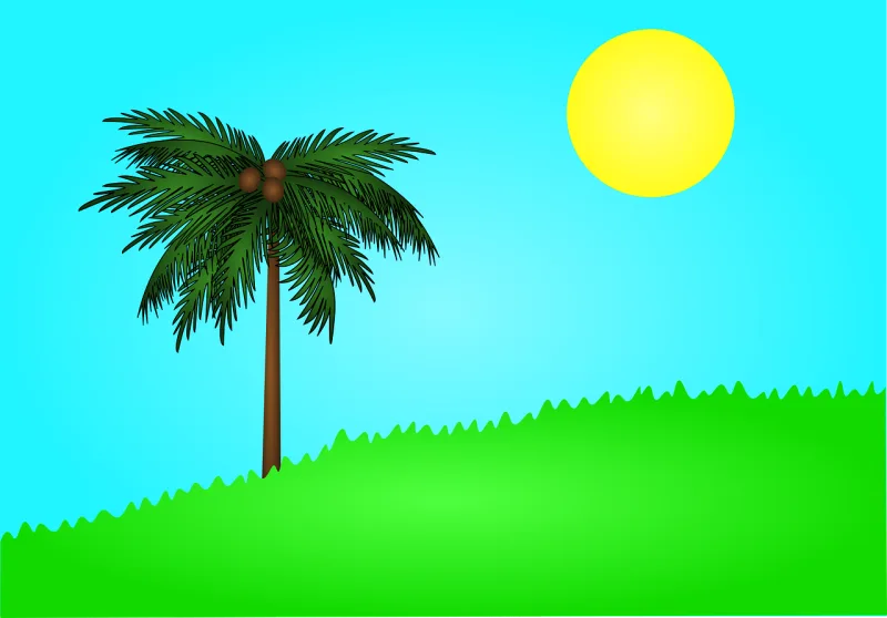 Nature Holiday Palm tree Stickdatei – Natur