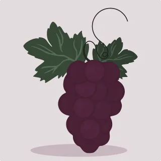 Fruit Grapes Food Stickdatei – Essen & Trinken