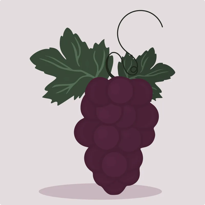 Fruit Grapes Food Stickdatei – Essen & Trinken
