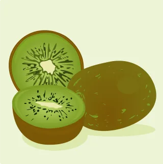 Kiwi Fruit Food Stickdatei