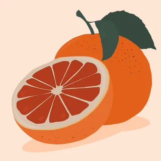 Fruit Grapefruit Citrus Stickdatei – Essen & Trinken