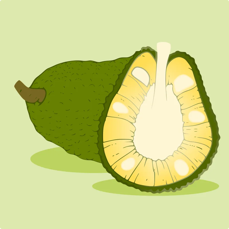 Fruit Jackfruit Food Stickdatei – Essen & Trinken