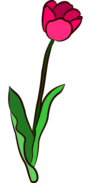 Tulip Flower wallpaper Flower Stickdatei