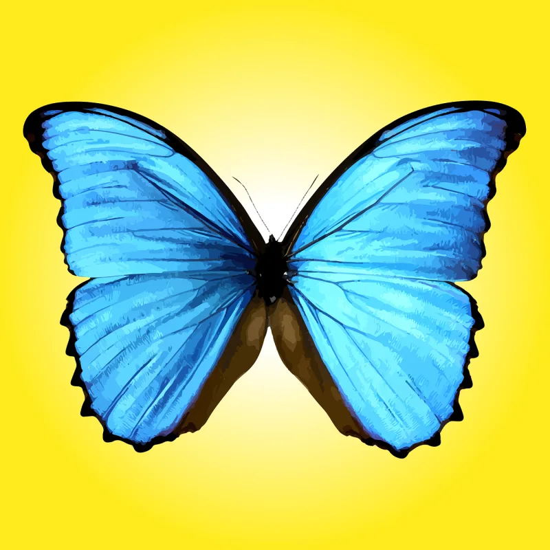 Butterfly Blue butterfly Insect Stickdatei – Tiere