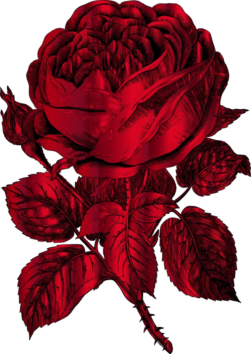 Rose Flower Sketch Stickdatei – Blumen