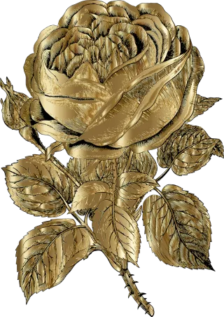 Rose Golden rose Rose flower Stickdatei – Blumen