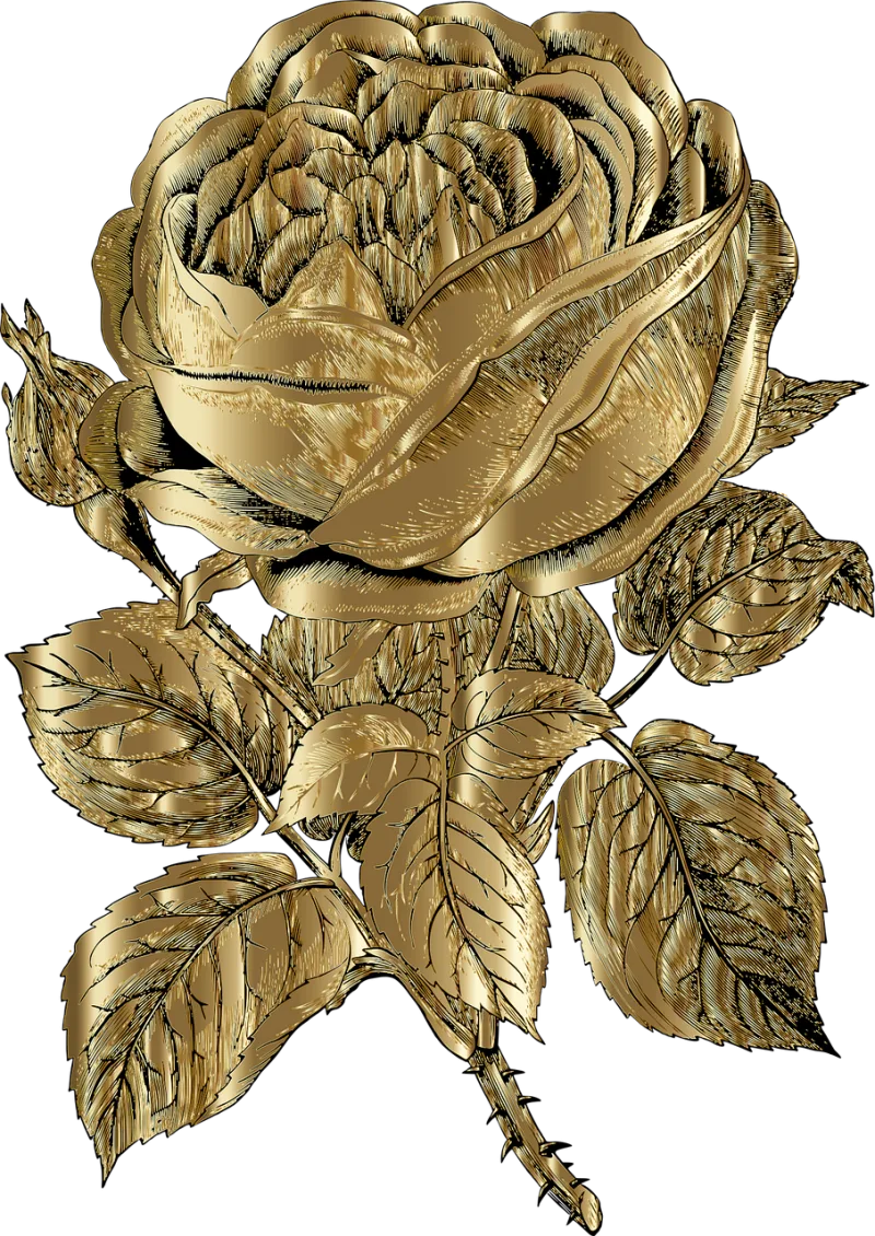 Rose Golden rose Rose flower Stickdatei – Blumen