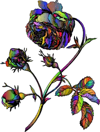 Rose Flower Sketch Stickdatei – Blumen