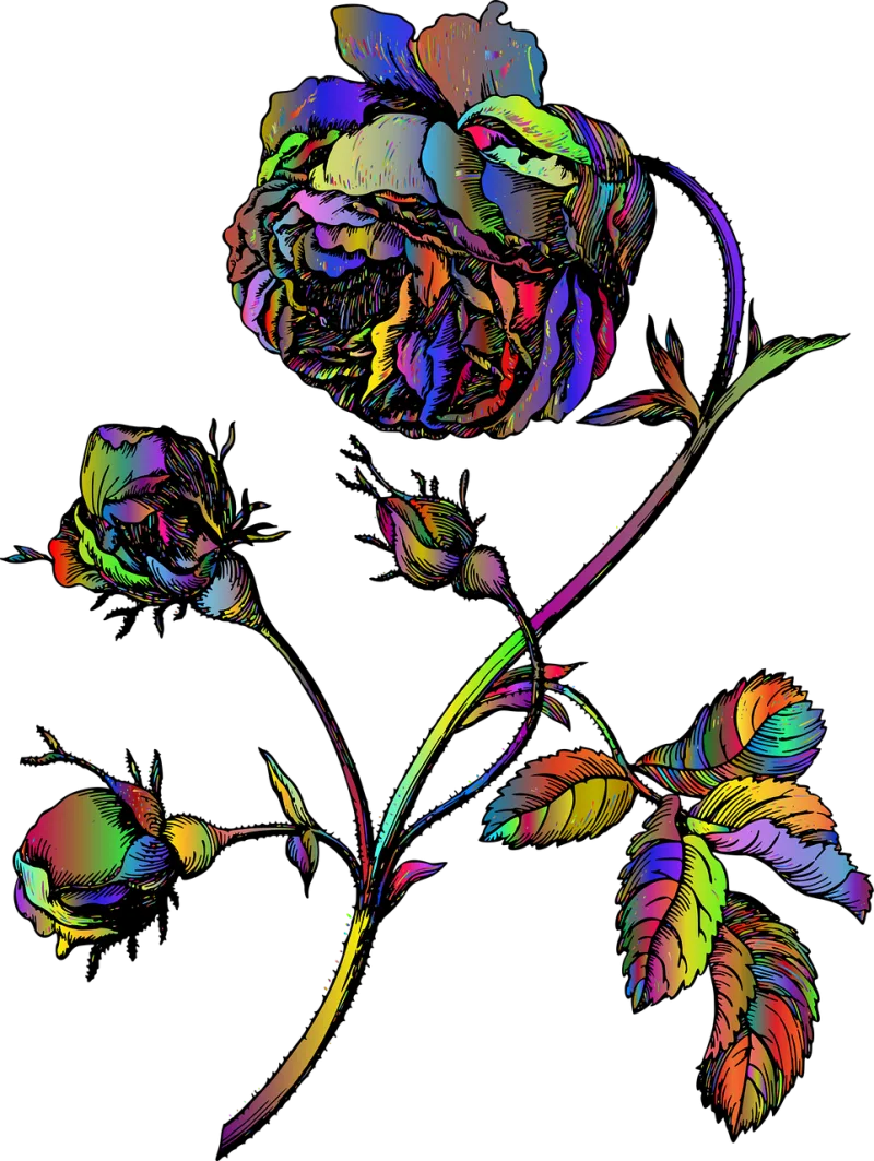 Rose Flower Sketch Stickdatei – Blumen