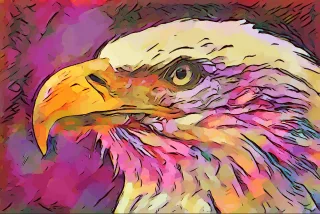 Bald eagle Bird Artwork Stickdatei – Natur