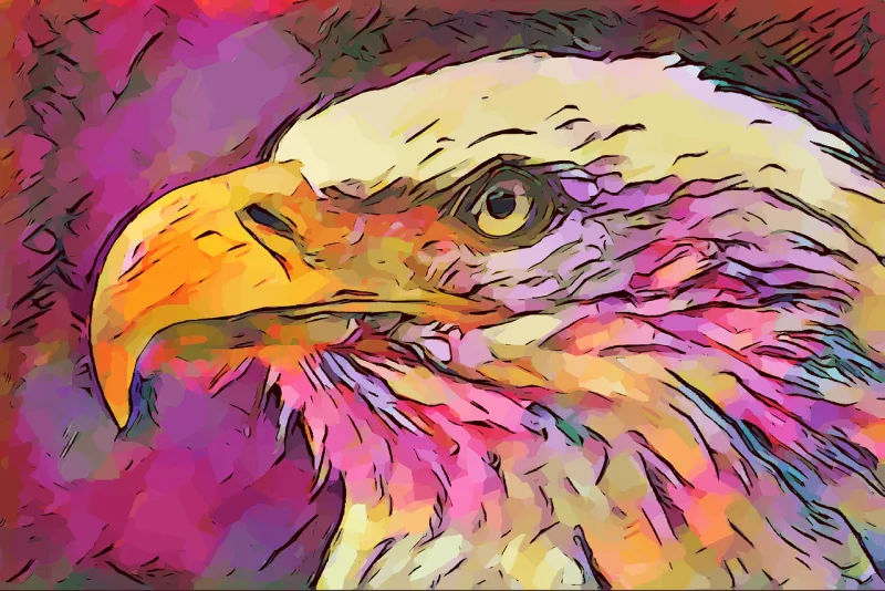 Bald eagle Bird Artwork Stickdatei – Natur