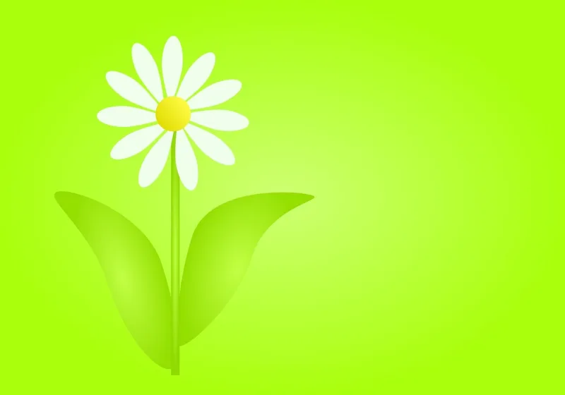 Daisy Flower Flower wallpaper Stickdatei – Blumen