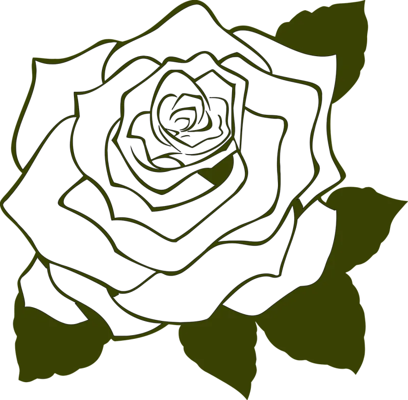 Rose Flower Drawing Stickdatei – Blumen