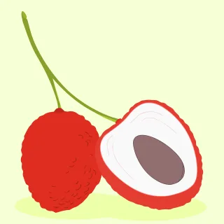 Lychees Fruits Clip art Stickdatei – Essen & Trinken