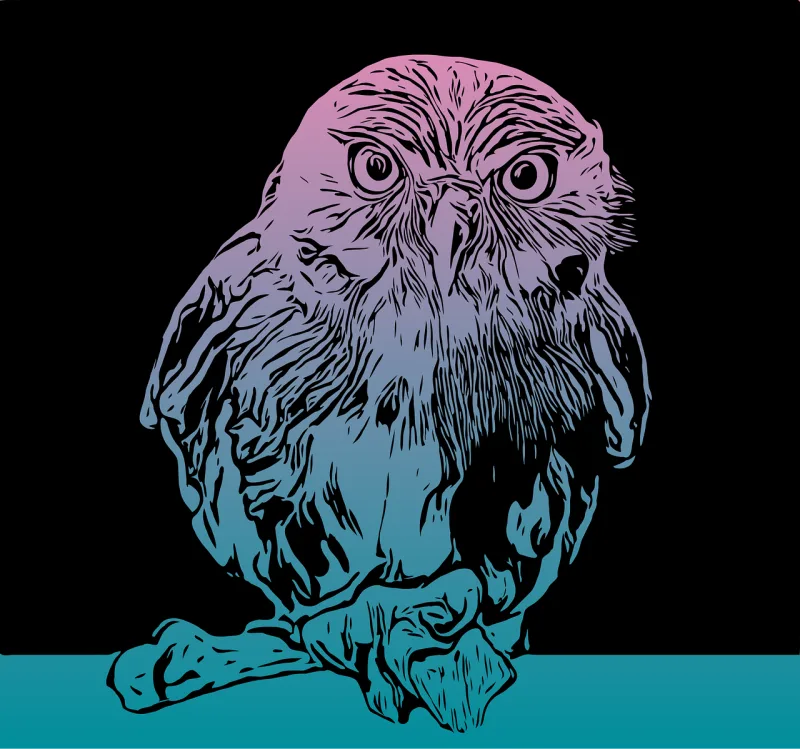 Bird Drawing Nature Stickdatei – Tiere