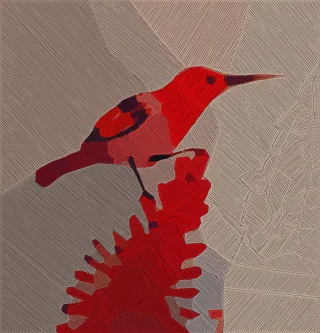 Bird Perched bird Nature Stickdatei