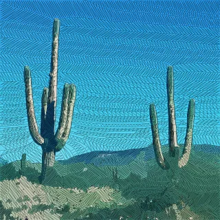 Cacti Desert Nature Stickdatei