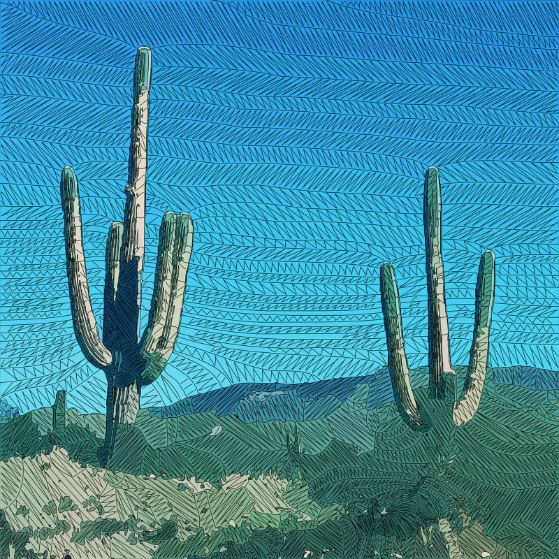Cacti Desert Nature Stickdatei – Natur