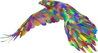 Eagle Colorful bird Bird Stickdatei – Tiere