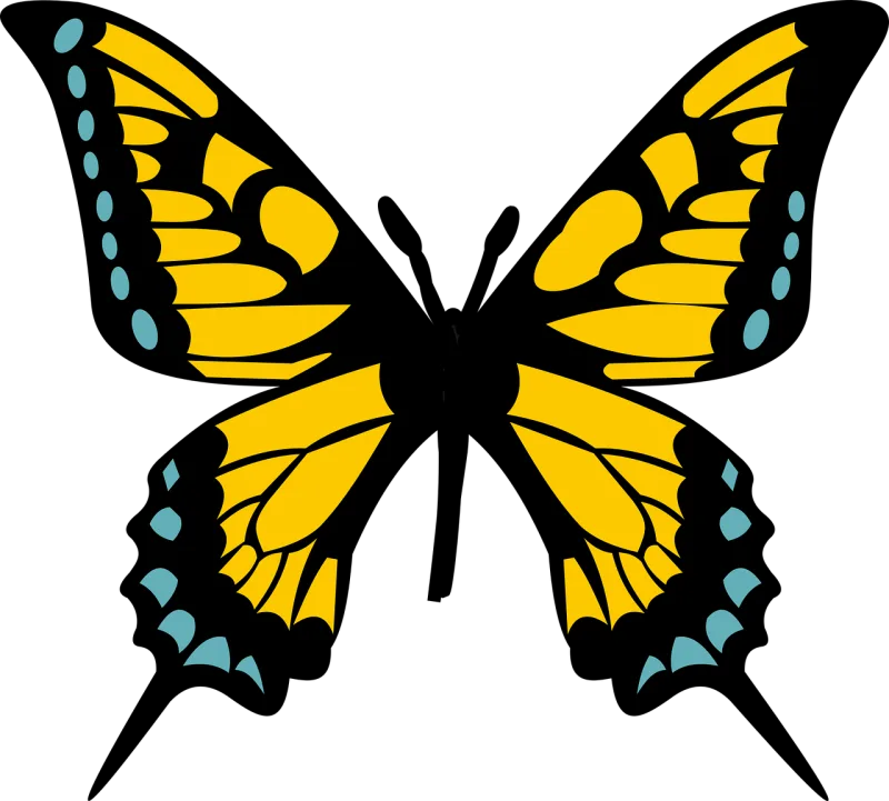 Brush footed butterfly Nature Butterfly Stickdatei – Tiere