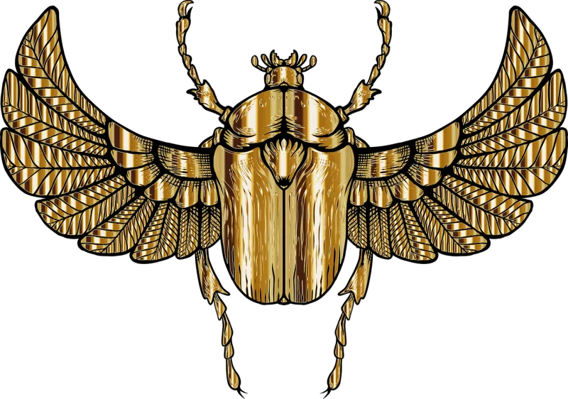 Beetle Insect Animal Stickdatei – Tiere