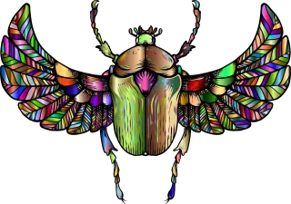 Beetle Insect Animal Stickdatei