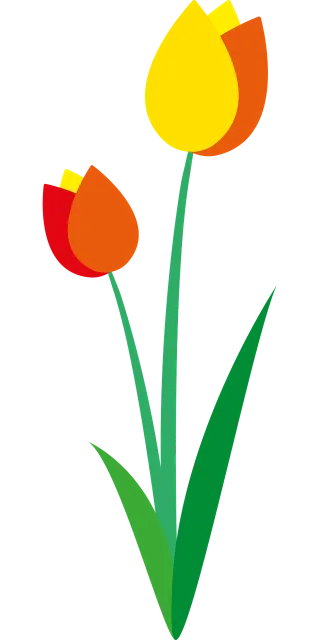 Flower Tulips Flower wallpaper Stickdatei