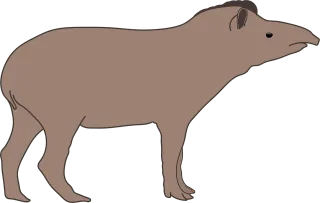 Tapir Animal Amazon Stickdatei
