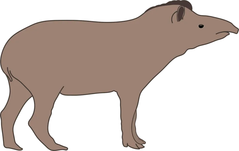 Tapir Animal Amazon Stickdatei – Natur