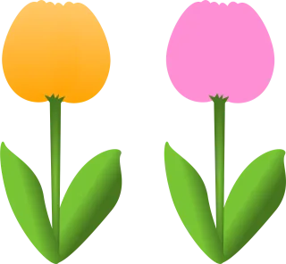 Flowers Flower wallpaper Tulips Stickdatei