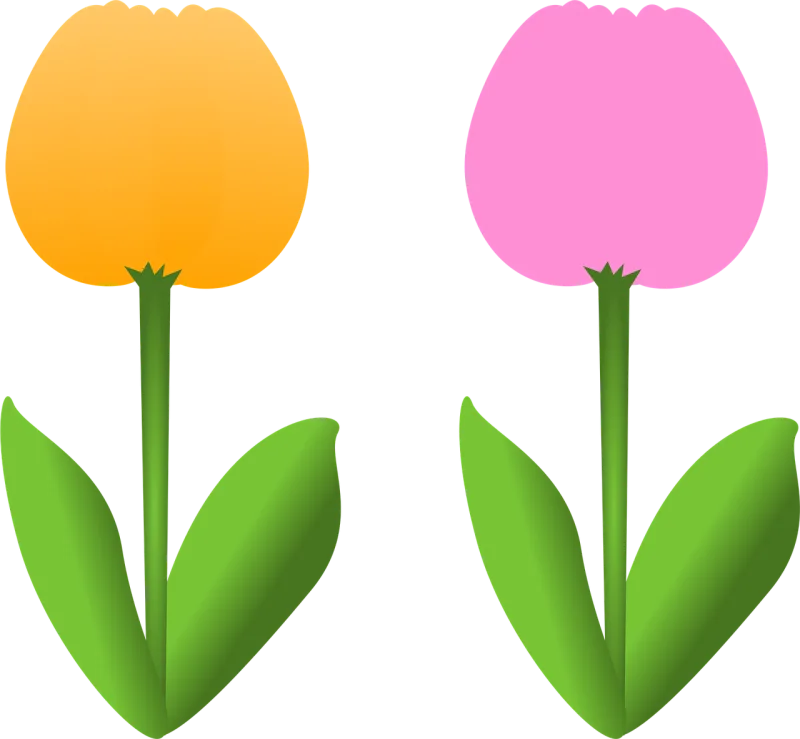 Flowers Flower wallpaper Tulips Stickdatei – Blumen