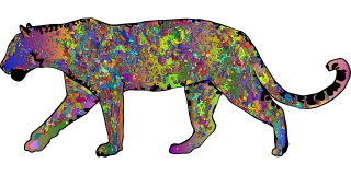 Leopard Animal Feline Stickdatei