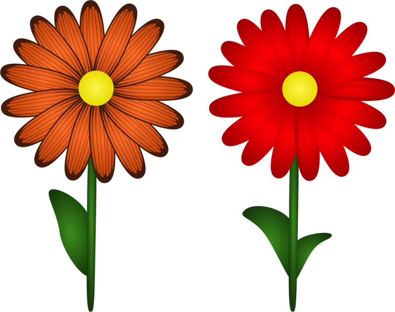 Gerbera Flowers Flower background Stickdatei – Blumen